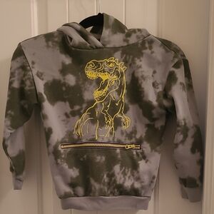 Dinosaur Graphic Kids Hoodie - Green and Gray